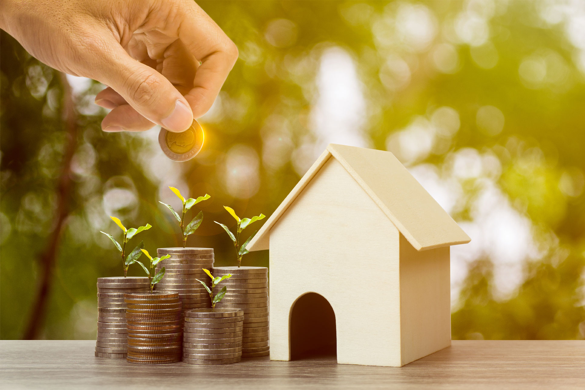 Main plaçant une pièce de monnaie sur une pile de pièces avec des plantes en croissance à côté d'une maison en bois, symbolisant l’investissement locatif et la croissance financière dans l'immobilier meublé (LMNP)